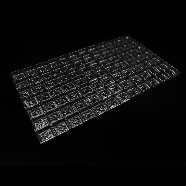 84CAVITY