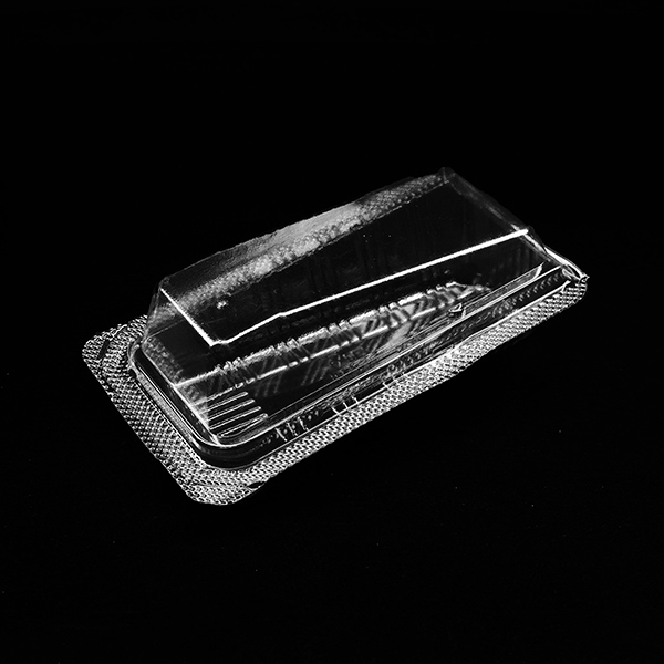 J-SW04